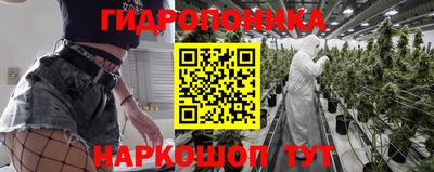 дмт Бузулук