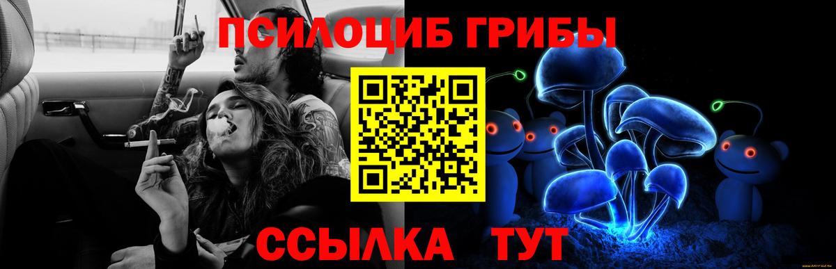 Псилоцибиновые грибы мицелий Тында